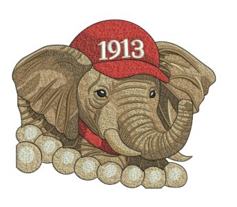 WhatsApp Image 2026 01 27 at 10.26.34 PM