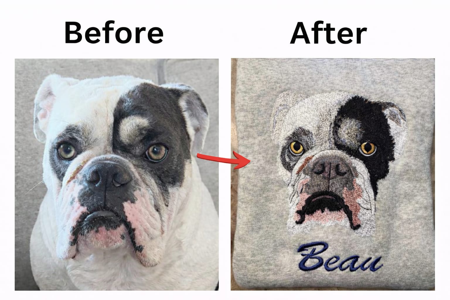 WhatsApp Image 2026 02 01 at 12.49.26 PM