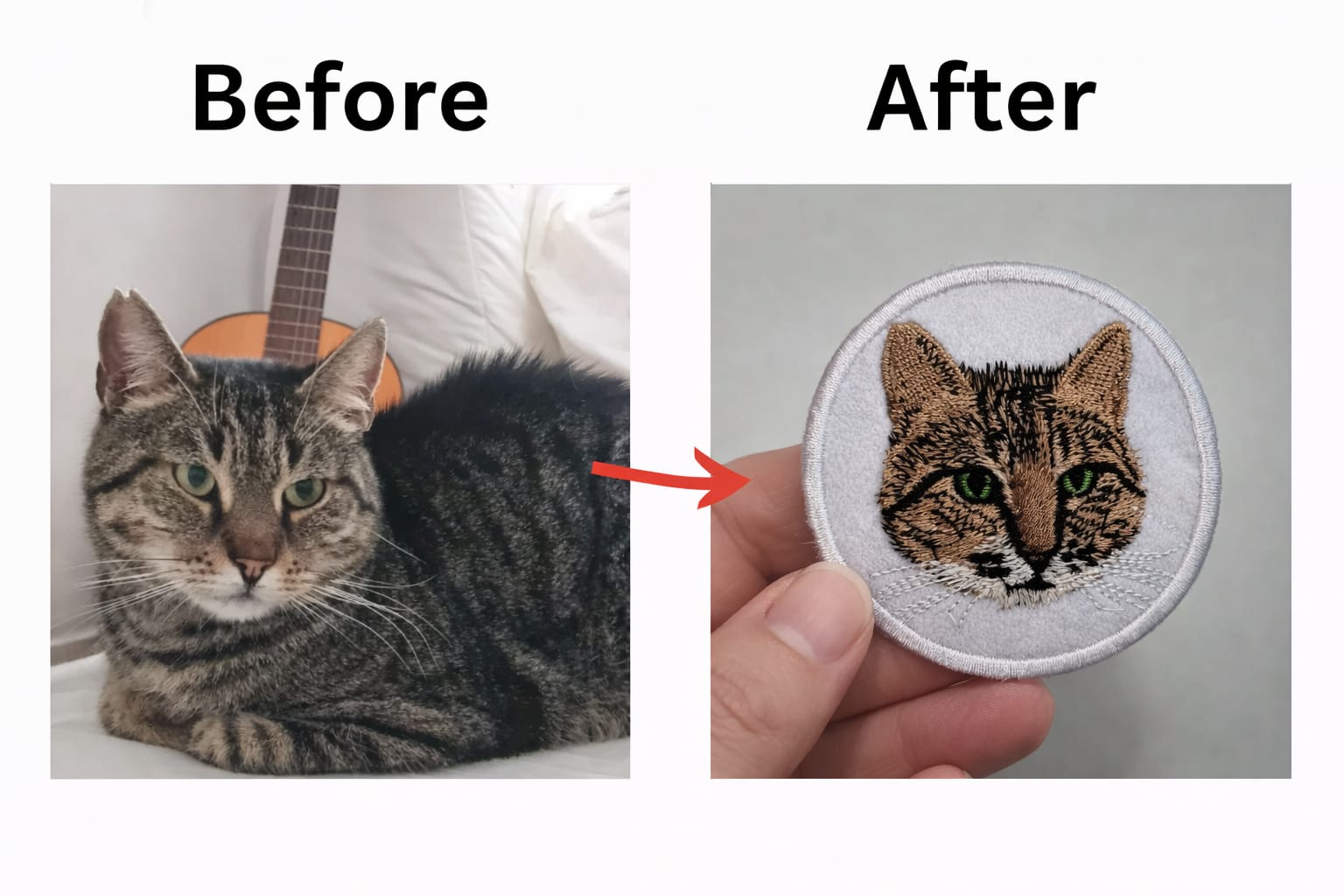 WhatsApp Image 2026 02 01 at 12.51.00 PM